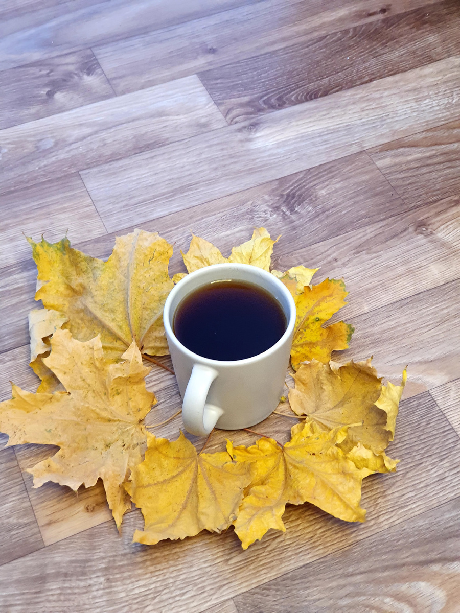 Фото: Валерия Акишкина