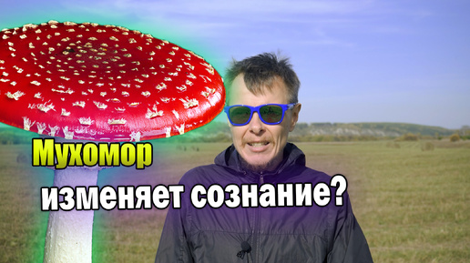 Мухомор и изменённое состояние сознания