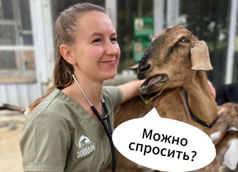 Фото: Челябинский зоопарк