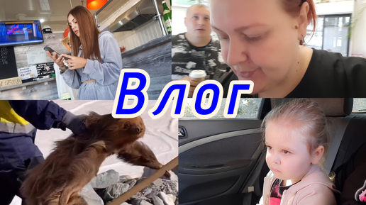 Descargar video: ВЛОГ ❤️//ОТВРАТИТЕЛЬНЫЙ ДЕНЬ🤯//УЕХАЛИ К МАМЕ🤗//В ПОИСКЕ ТЕЛЕФОНА🤔//ТАРЕЛОЧКИ ЗА 2 ДНЯ🥬//ХУДЕЮ С БОЛЬШОГО ВЕСА 😱