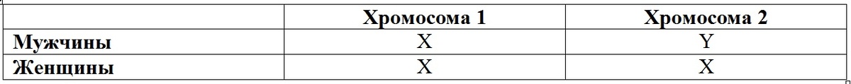 Различия в хромосомном наборе мужчин и женщин