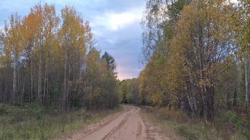 Осенний закат. Песня хорошая