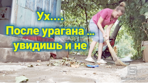 Уборка двора после 4 дня Урагана....