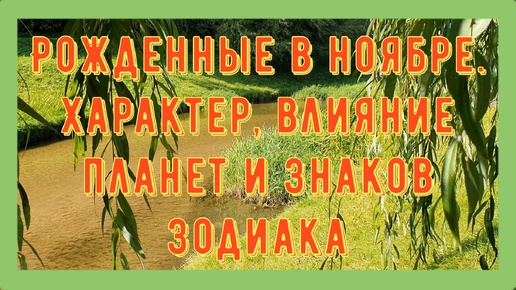 Download Video: Рожденные в ноябре. Характер, влияние планет и знаков зодиака