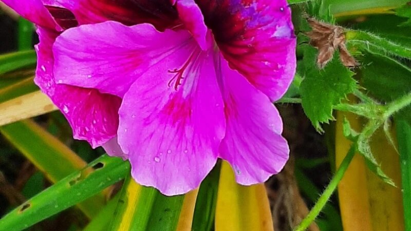     Осень. altapress.ru