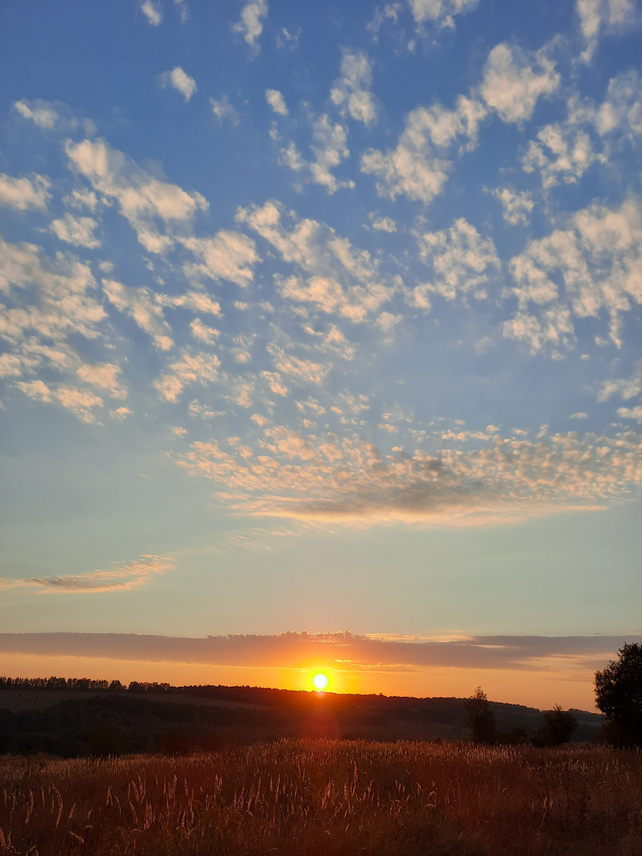 Чудесная осень. Фото автора 