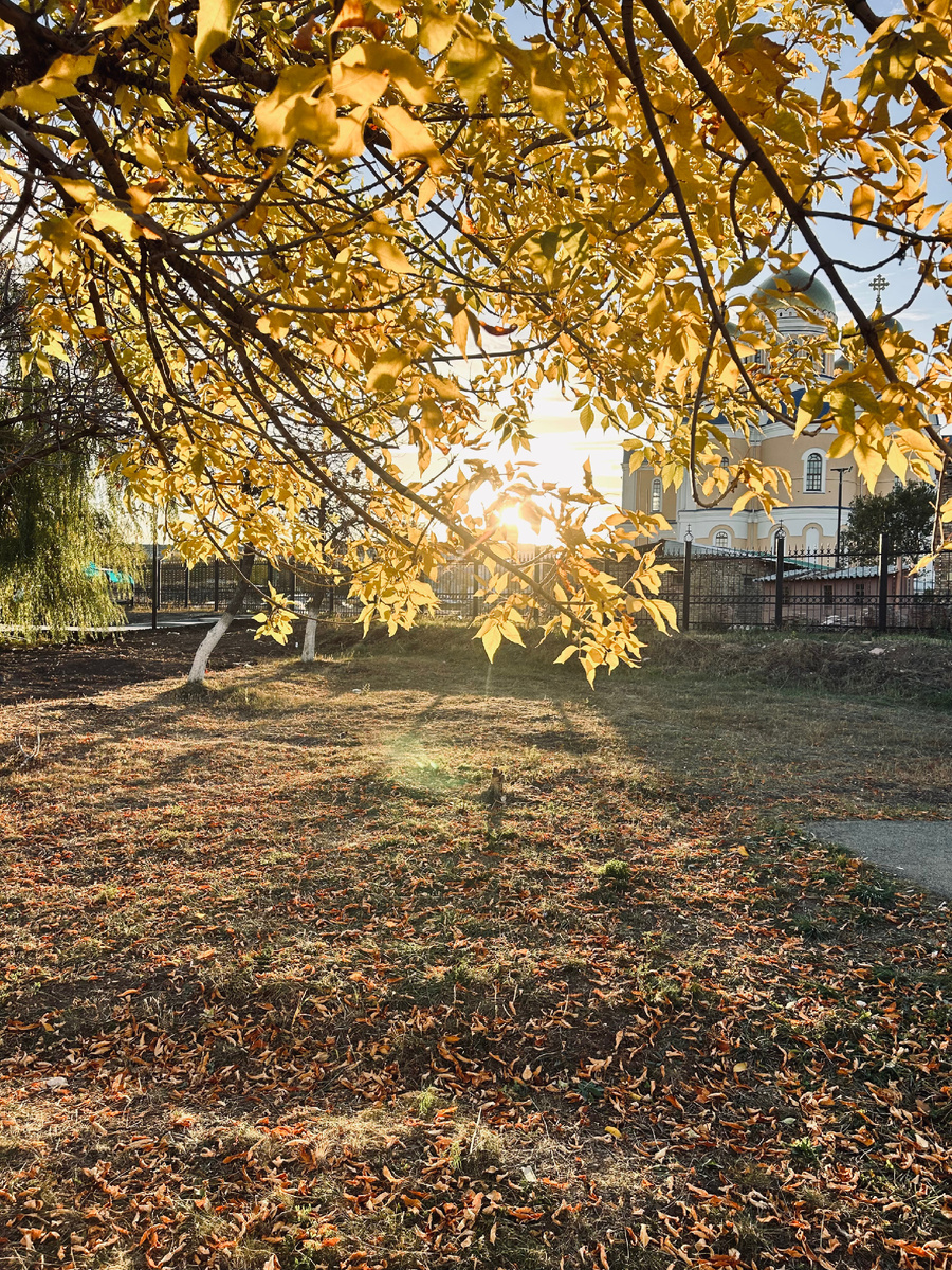 Фотография автора канала. Вчера на прогулке.