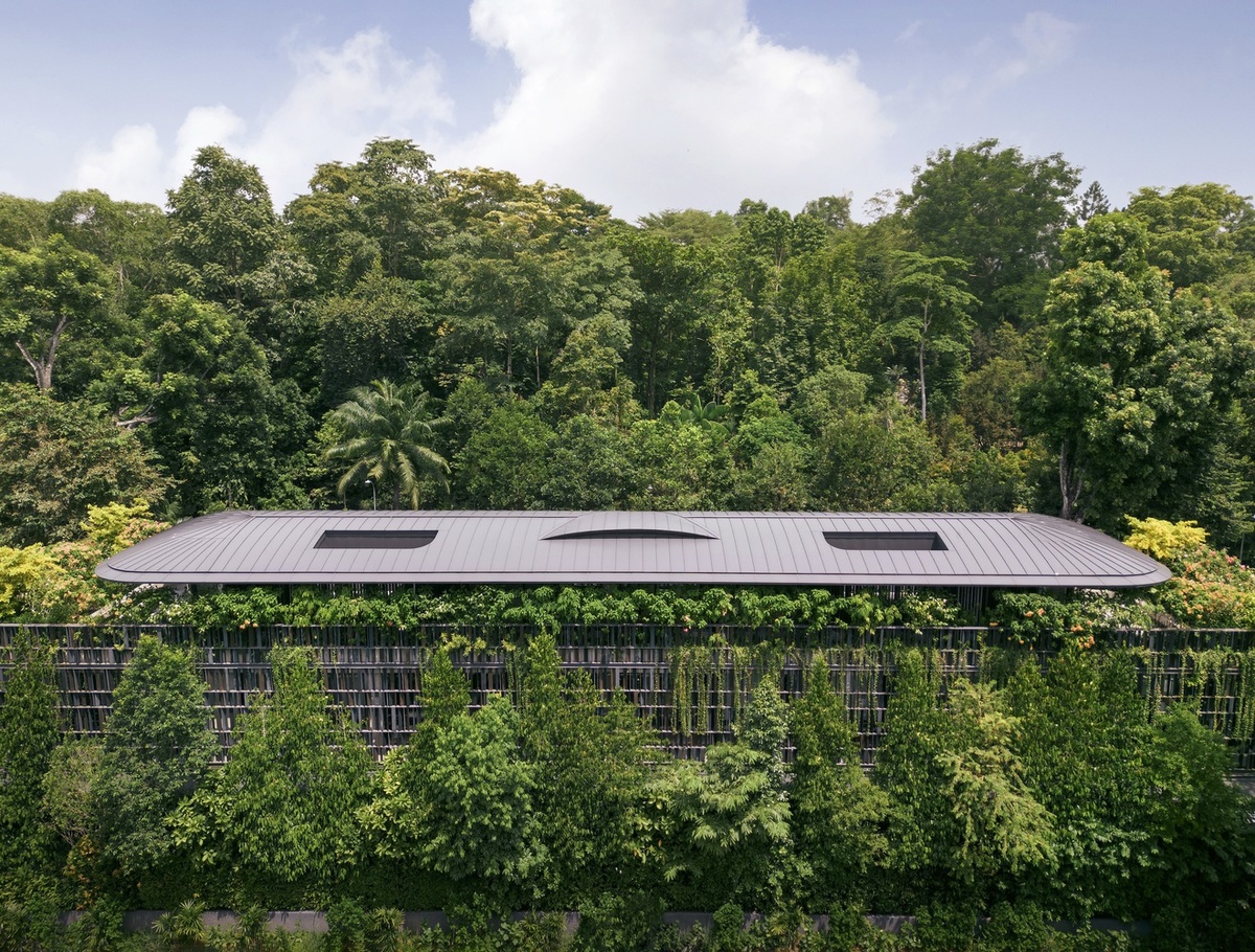 Touching Eden House / Wallflower Architecture + Design
