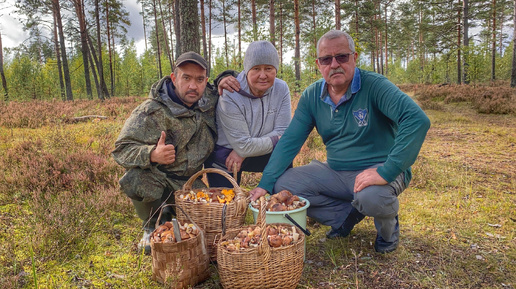 Download Video: ОНИ ВЕЗДЕ🍄 ЭТО НАСТОЯЩИЙ УРАГАН ИЗ ГРИБОВ | ВОЛШЕБНАЯ ОСЕННЯЯ ТИХАЯ ОХОТА | ГРИБЫ 2022