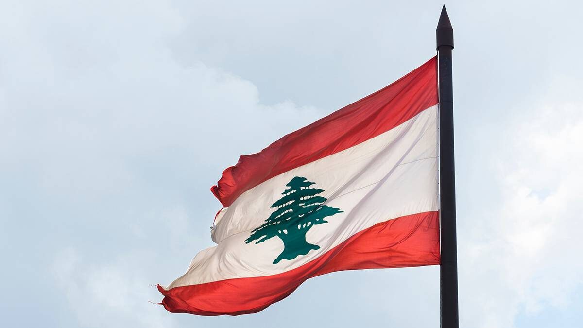    Фото: Shutterstock