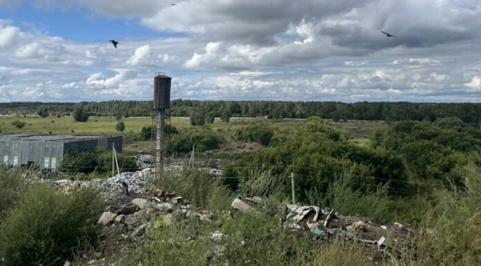    Фото пресс-службы прокуратуры Новосибирской области