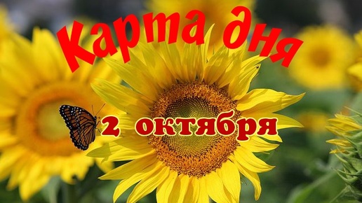 Карта дня🍁2 октября🌞 Пасьянс. Тайм-код в описании🦢