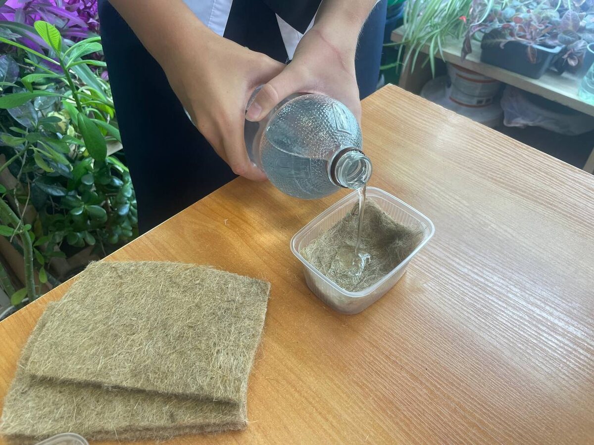 Хорошо полили