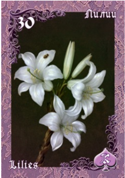 Карта Лилии