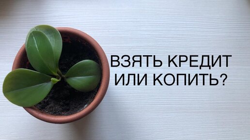 НАКОПИТЬ ИЛИ ВЗЯТЬ В КРЕДИТ?