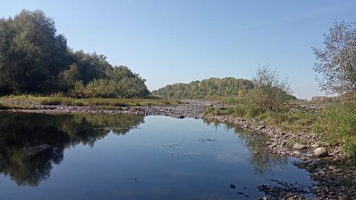 В 132. Листики, сломанная мойка. Йошь!