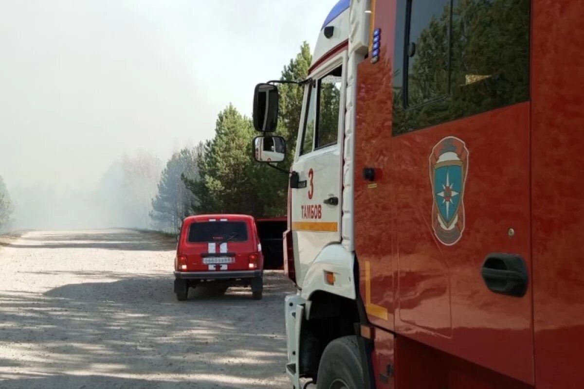    В Тамбовской области за 30 сентября потушили 14 загораний травы и мусора