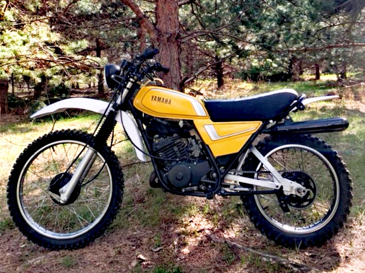 Легкий лесной хищник из эпохи динозавров 