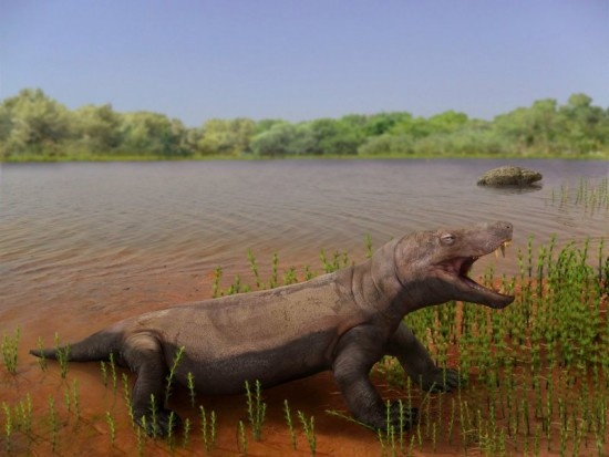    Фото: darwinmuseum.ru