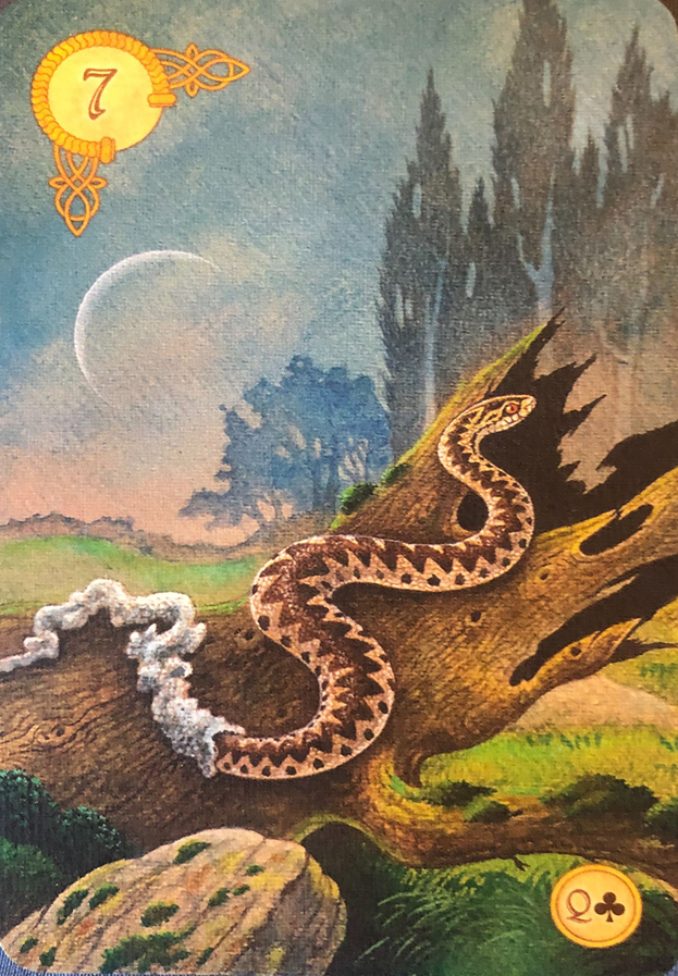 Карта Змея