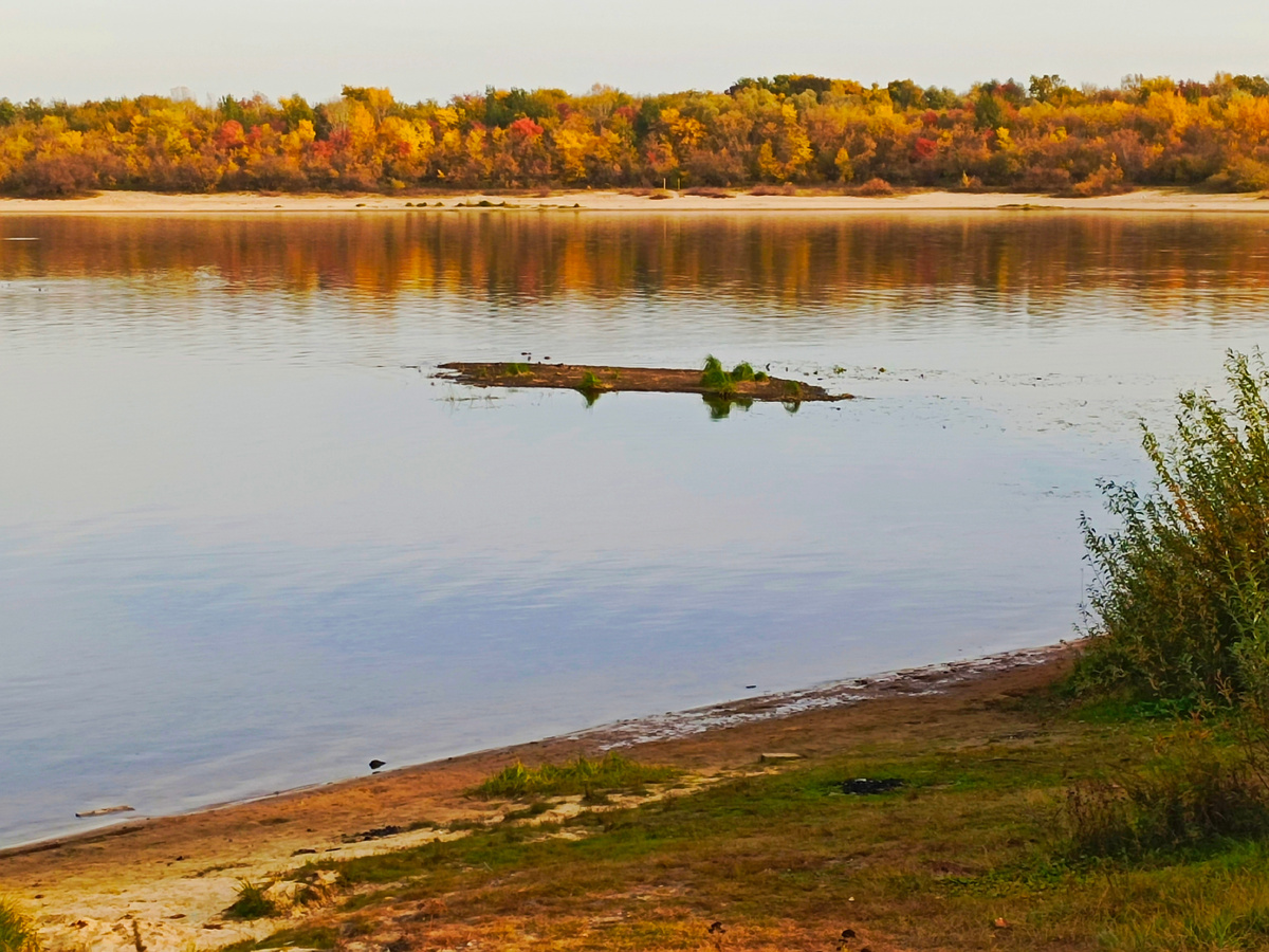 Фото автора