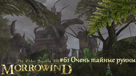 TES III Morrowind Letsplay. #61 Очень тайные руины