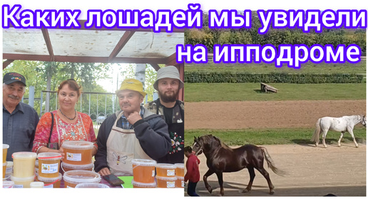 Télécharger la video: Выводка лошадей на ипподроме 🐎