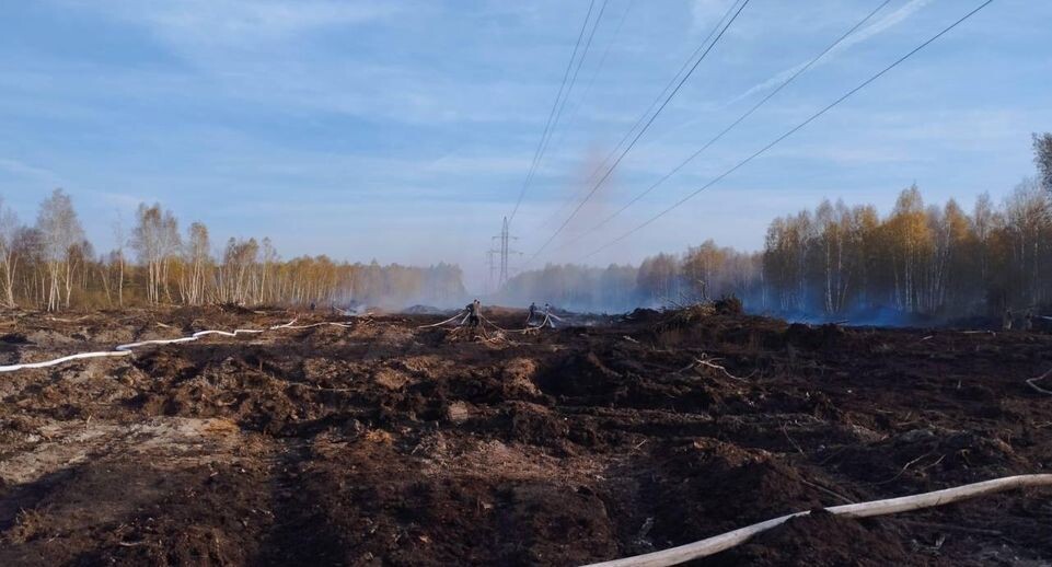    Комитет лесного хозяйства Московской области