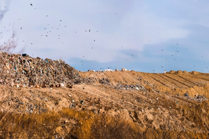    Фото Андрея Заржецкого