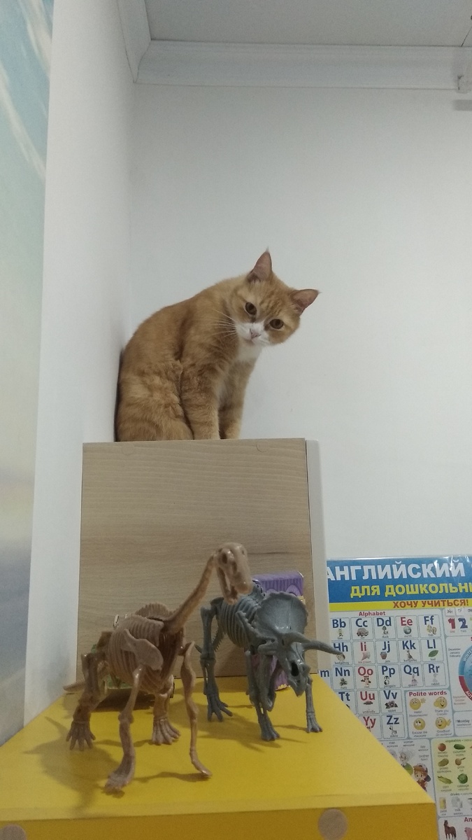 Персик