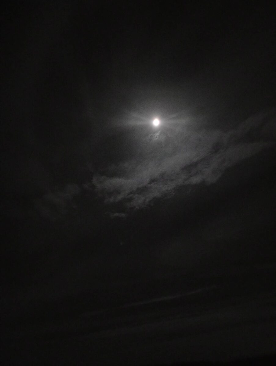 Автор фотографии - моя читательница Алла Молчанова