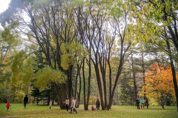    Фото Андрея Заржецкого