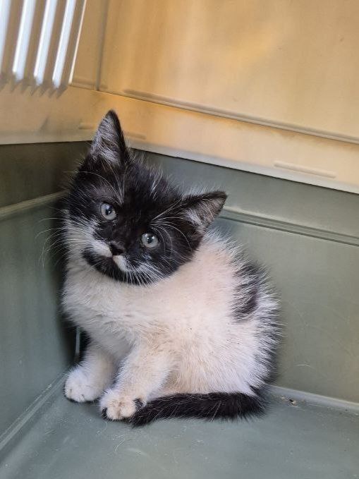 Фото: https://t.me/spasrezerv/4020 