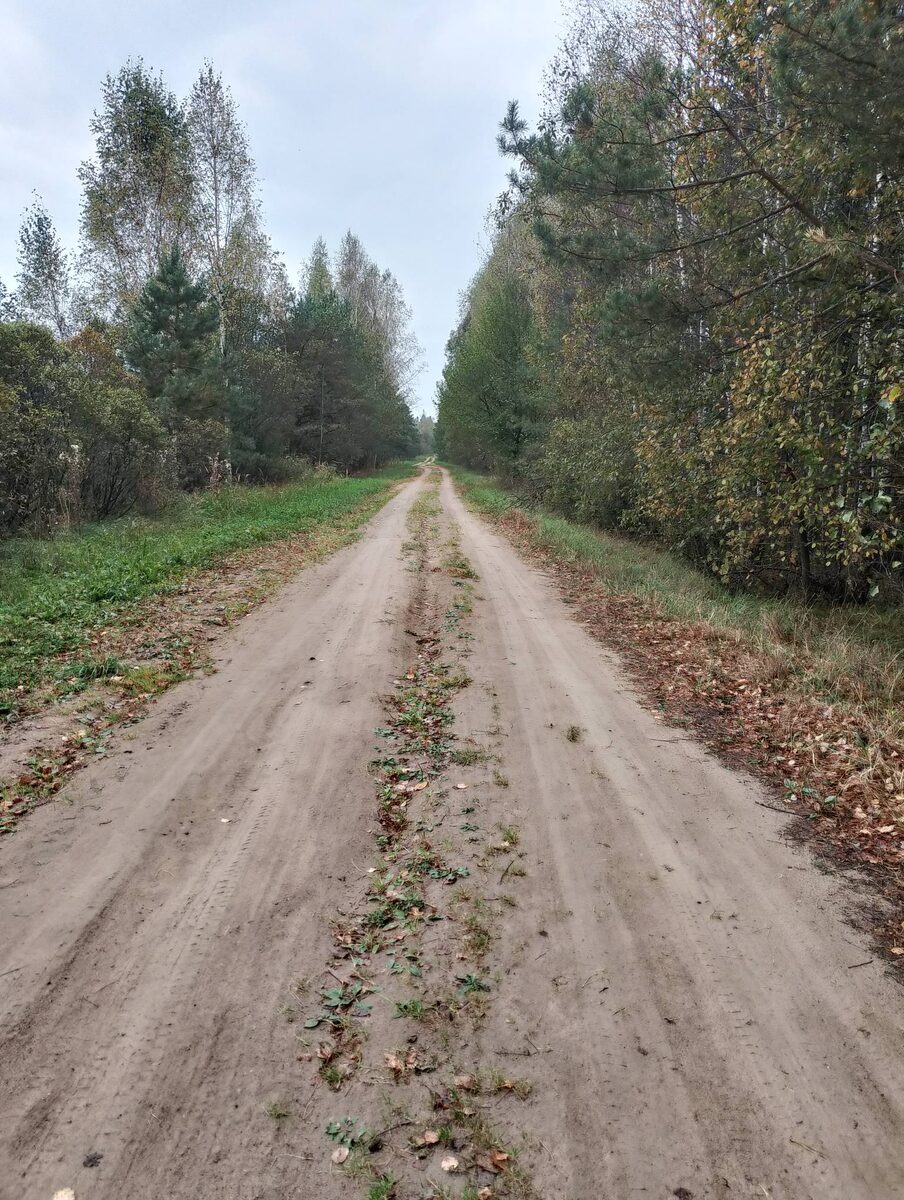 Дорога без начала и конца