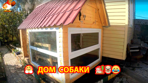 Дом собаки Зоси Зефировны 🏡🐕❣️ Собачья будка класса люкс для любимой питомицы 🤗😍😂