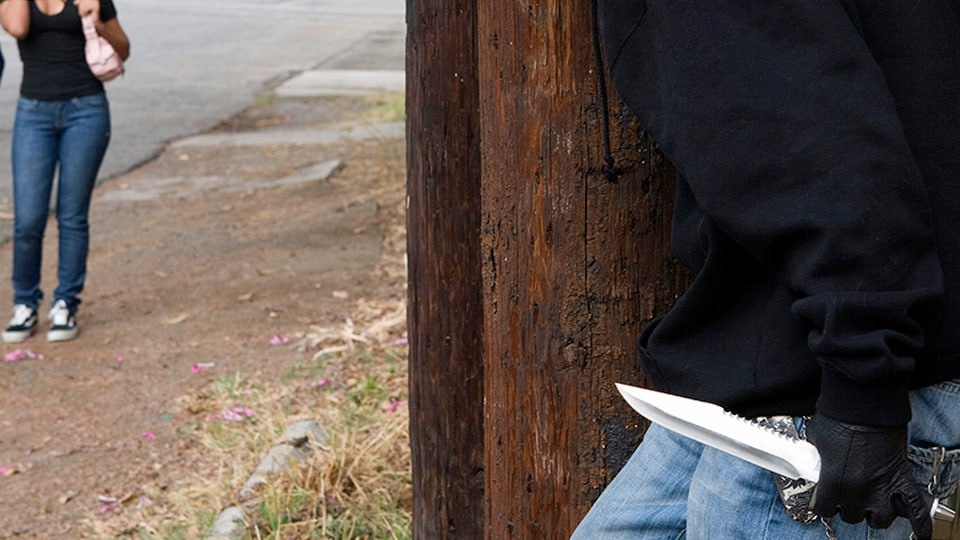 Фото: Global Look Press/West Coast Surfer/moodboard