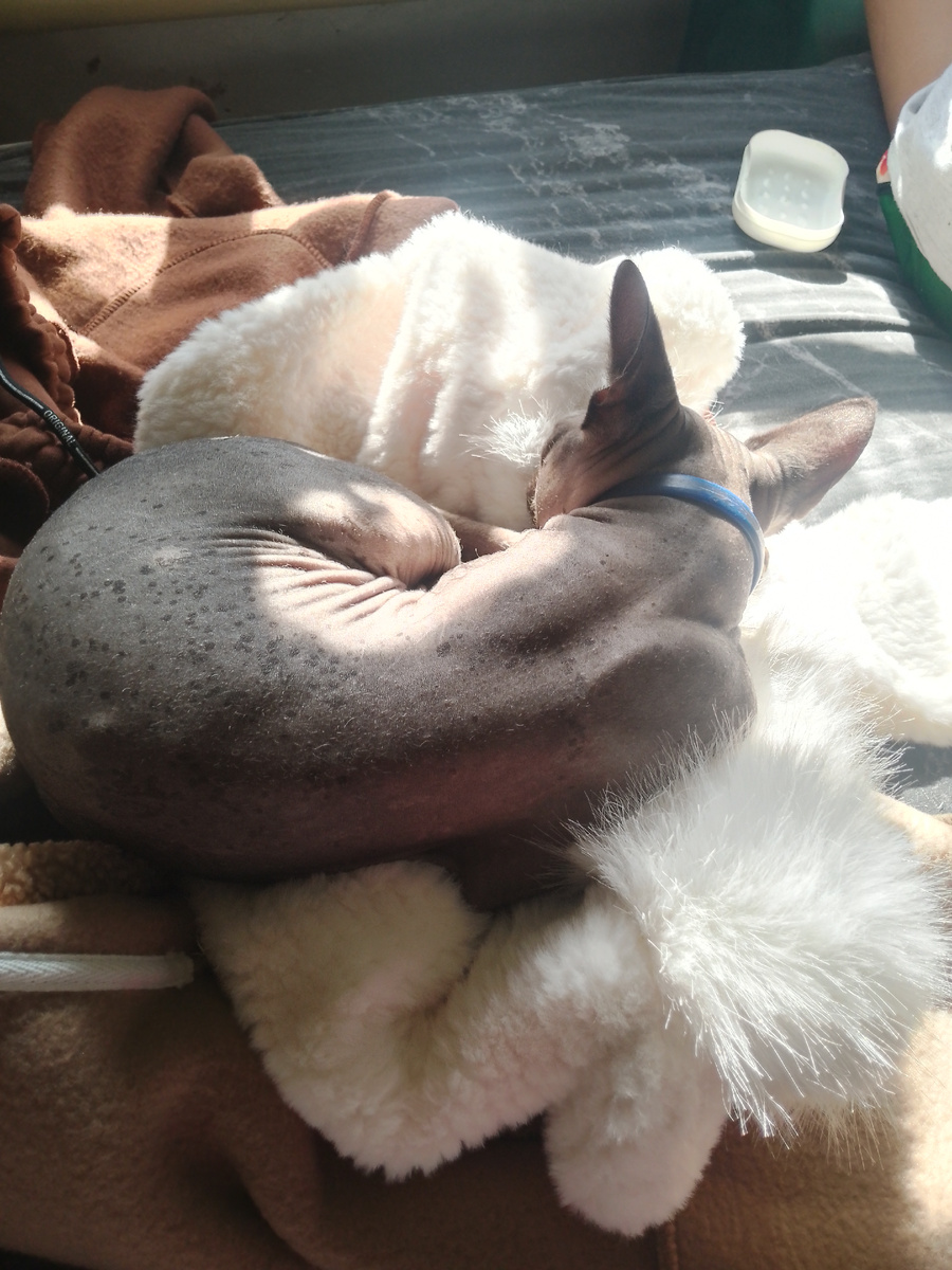 Как тепло и уютно. 