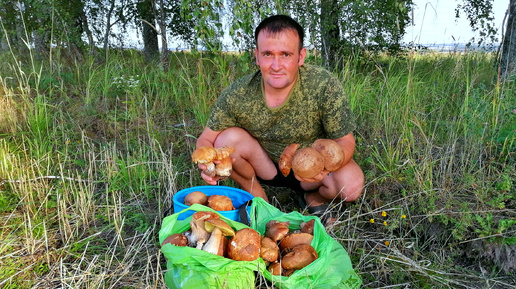 УРОЖАЙ БЕЛЫХ ГРИБОВ в этом году. Окашиваем фруктовый сад. Урожай картофеля, груш и яблок. ЖИЗНЬ В ГЛУХОЙ ДЕРЕВНЕ. (НОВОЕ ВИДЕО)