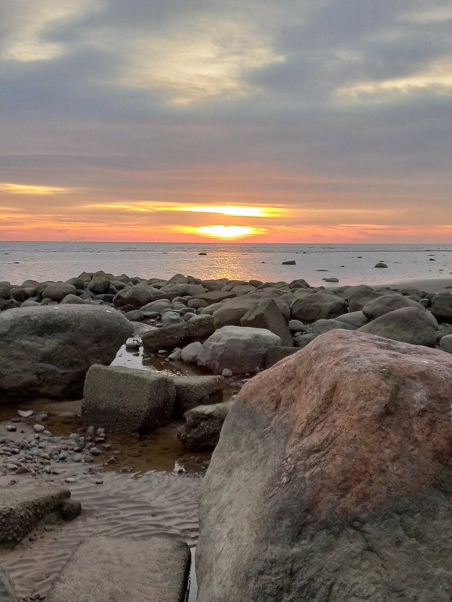 Фото: Яндекс Автор: Светлана Чубрикова