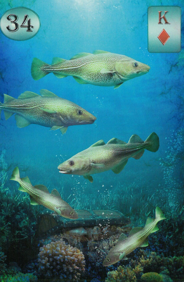 Карта Рыбы