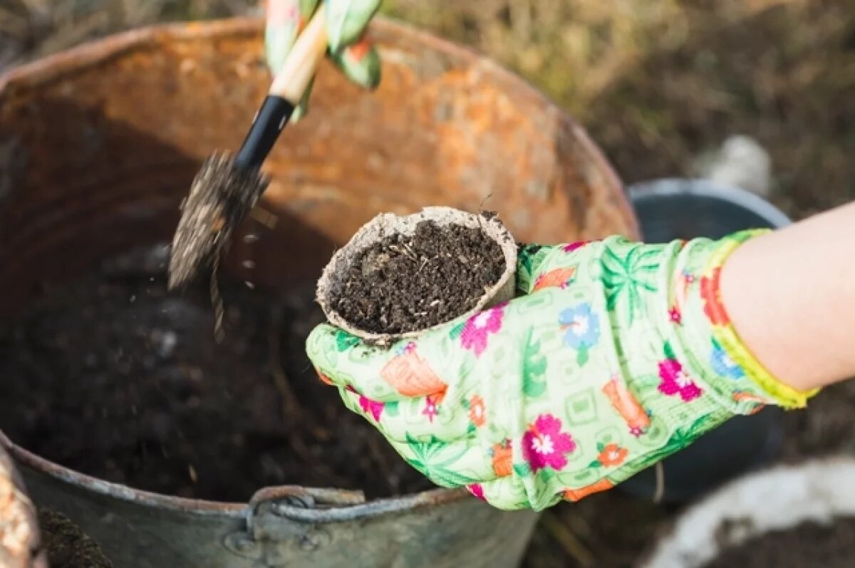    Вносим осенью.