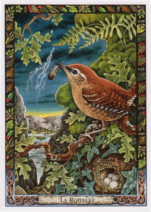 Билл Уортингтон. Крапивник