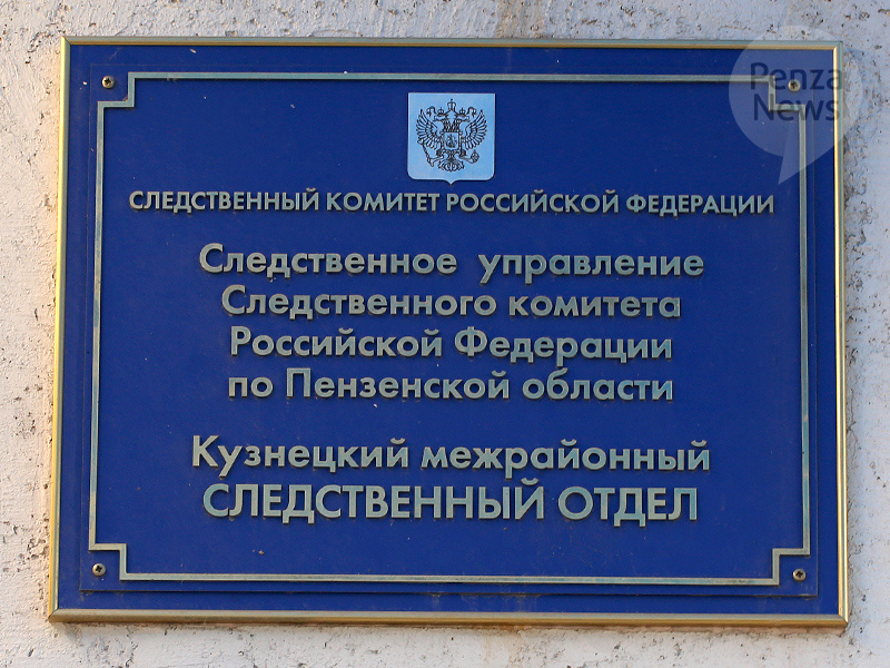    © Фото из архива ИА «PenzaNews»