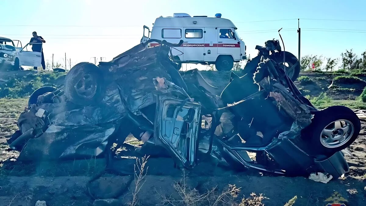     Источник: ГУ МВД по Волгоградской области