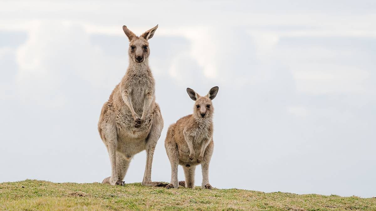    Фото: shutterstock