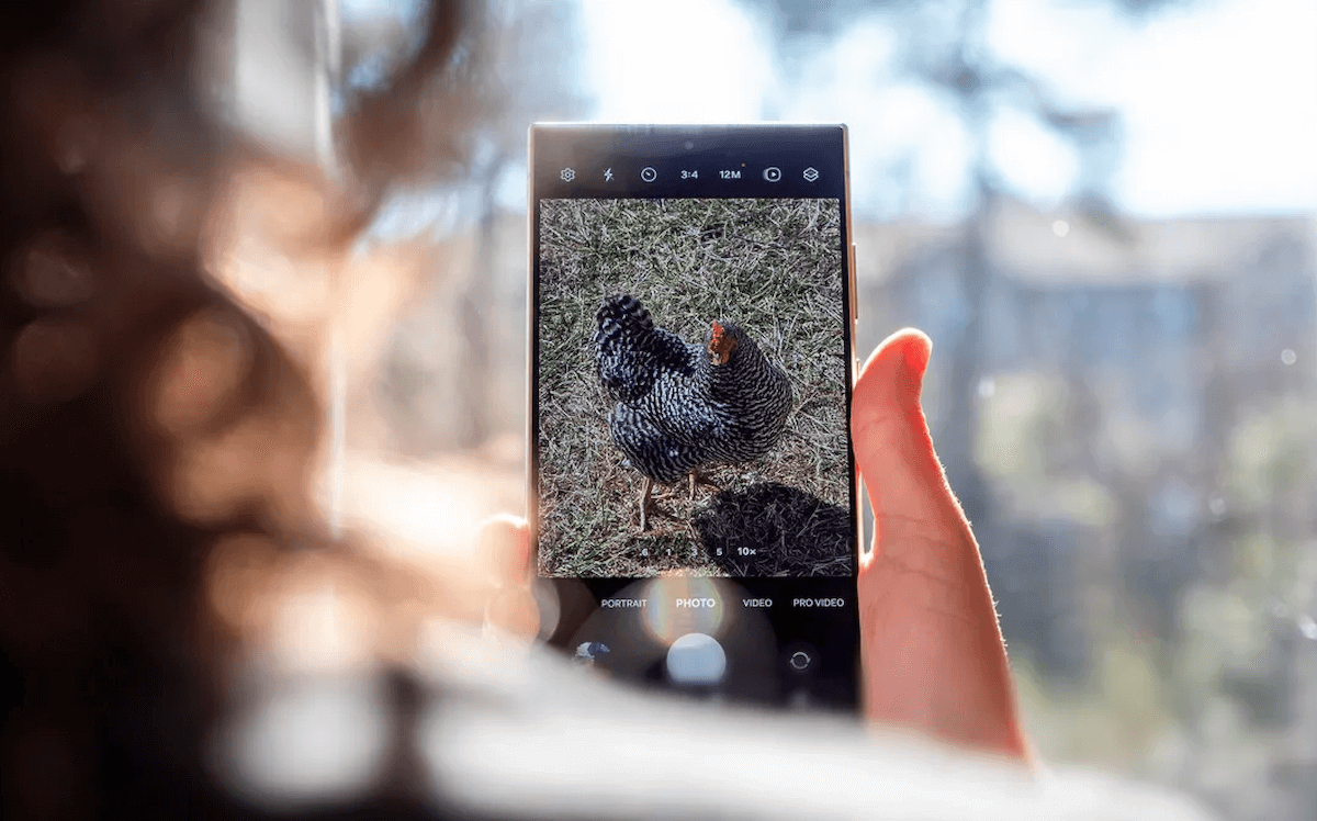    Samsung — это хорошо. Но надо иметь ввиду несколько их особенностей. Изображение: Androidcentral