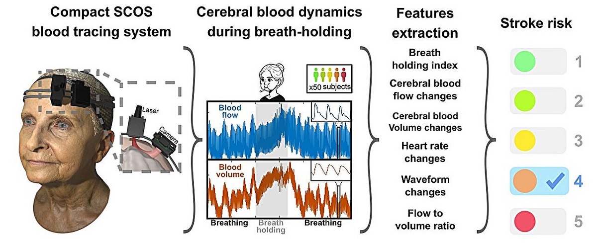    Huang et al., Biomedical Optics Express, Sept. 2024.