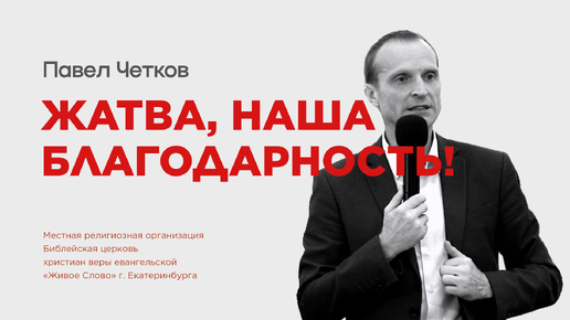 Жатва, наша благодарность! Павел Четков