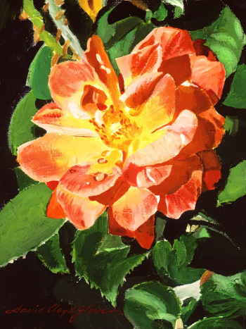 Дэвид Ллойд Гловер. Роза, сияющая под Солнцем