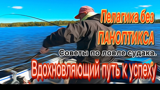 ПЕЛАГИЧЕСКИЙ СУДАК без ПАНОПТИКСА. ТЕХНИКА ЛОВЛИ и КАК ЕГО ПОЙМАТЬ. 22.09.2024.